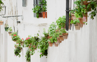 Pueblos Blancos, Arcos de la Frontera, Andalucia, Spain