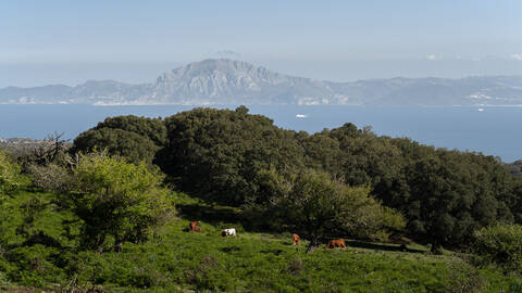 Strait of Gibraltar from El Bujeo, Andalucia, Spain