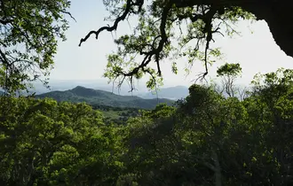 View from El Picacho Track, Los Alcornocales Natural Park, Andalucia, Spain