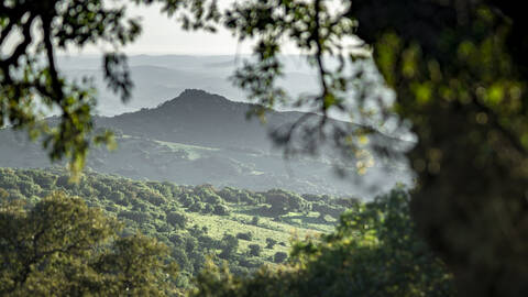 View from El Picacho Track, Los Alcornocales Natural Park, Andalucia, Spain